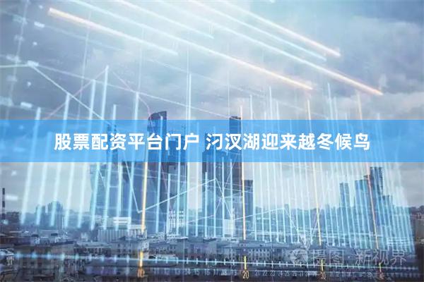 股票配资平台门户 汈汊湖迎来越冬候鸟